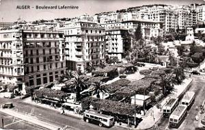 Alger - Boulevard Laferriere_2